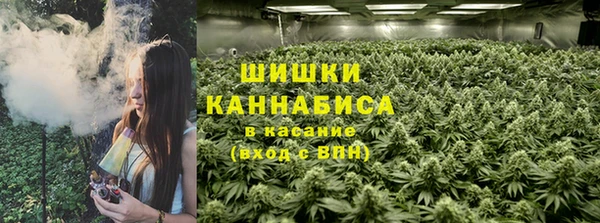 соль ск Алзамай