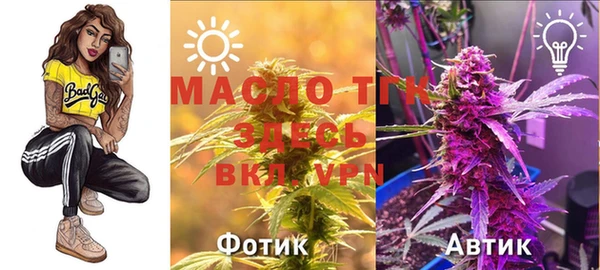 шишки Саяногорск