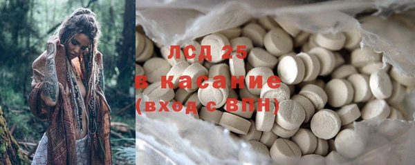 соль ск Алзамай